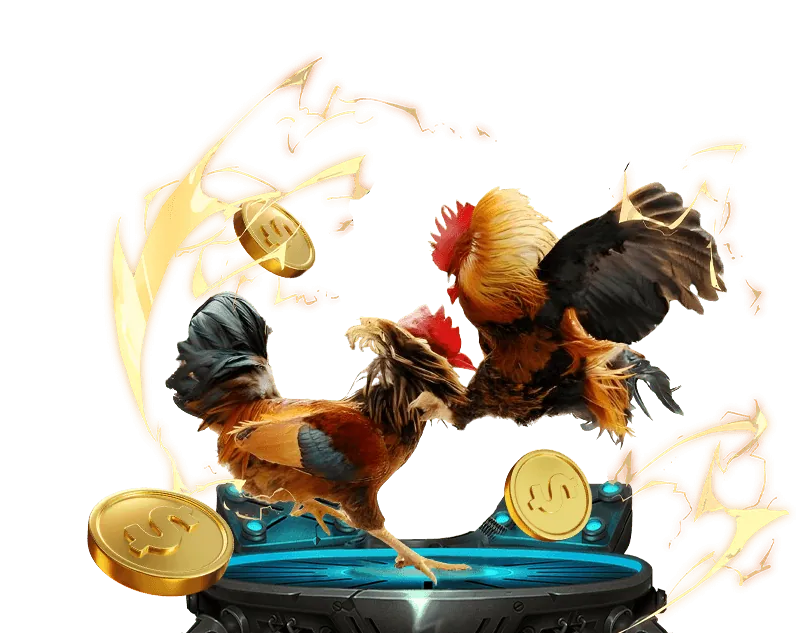 Hướng dẫn cá cược thể thao Kibet